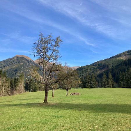 Schaffergut Appartements Donnersbachwald Exterior foto