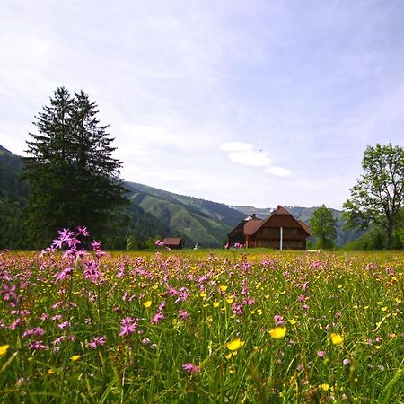 Schaffergut Appartements Donnersbachwald Exterior foto