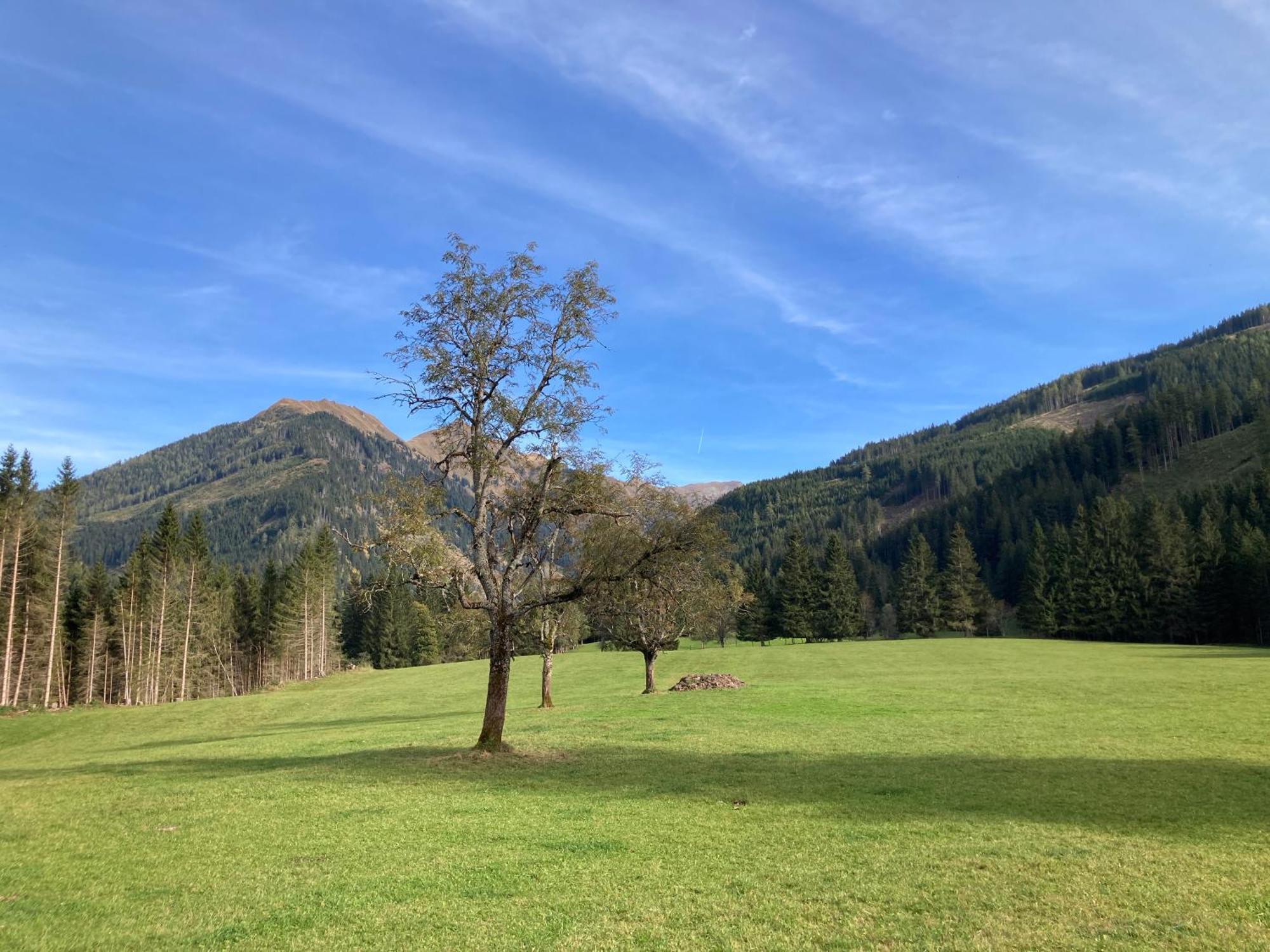 Schaffergut Appartements Donnersbachwald Exterior foto