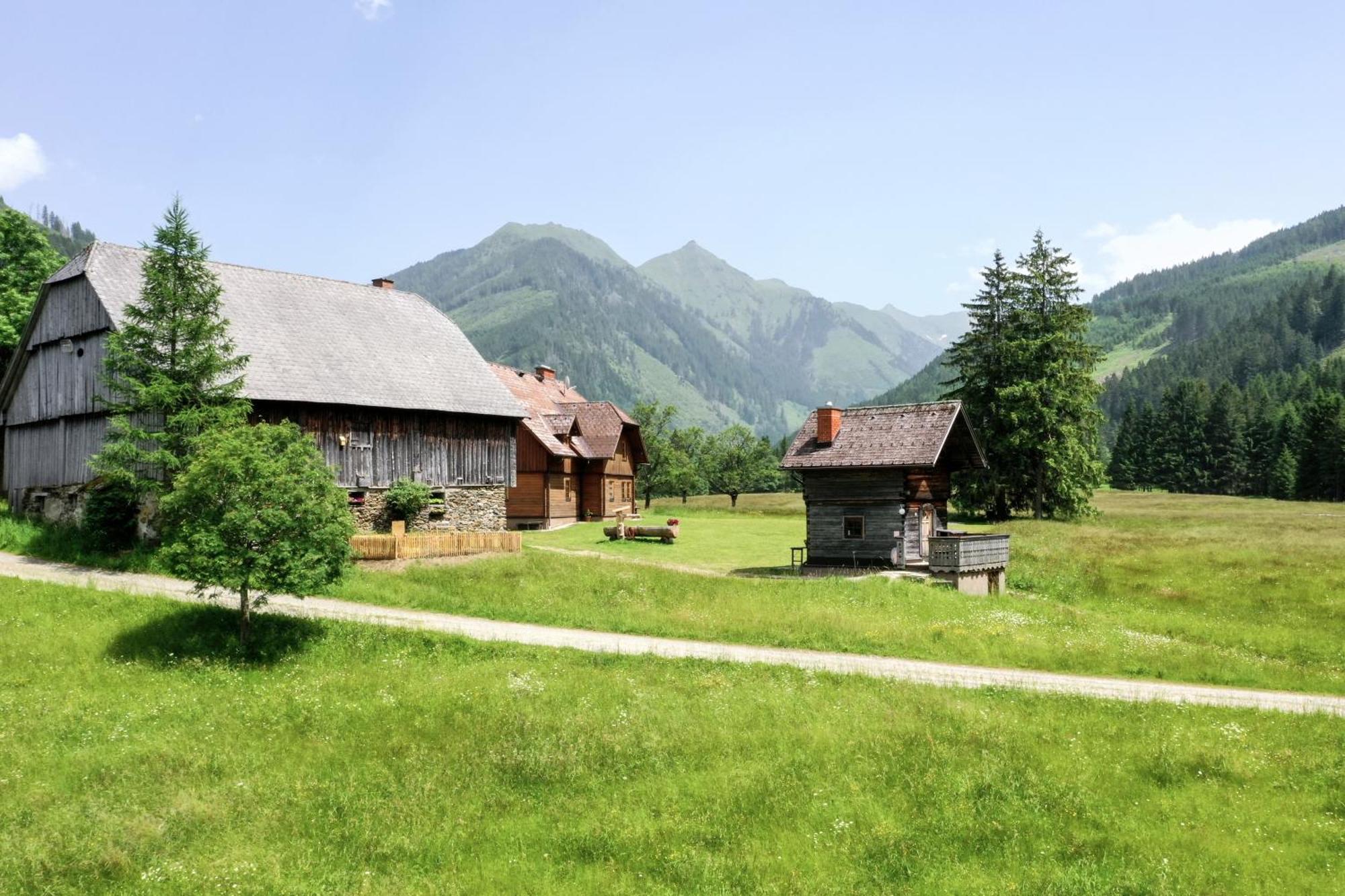 Schaffergut Appartements Donnersbachwald Exterior foto