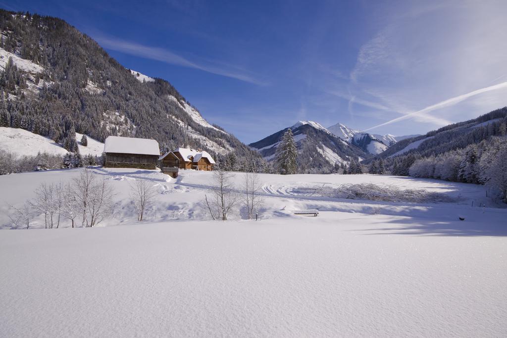 Schaffergut Appartements Donnersbachwald Exterior foto