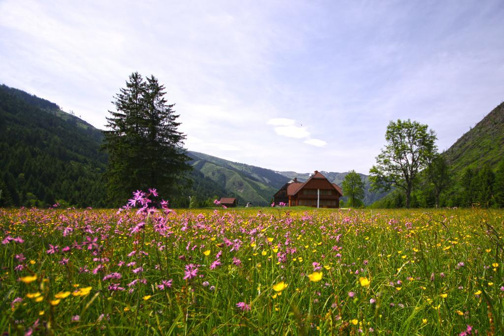 Schaffergut Appartements Donnersbachwald Exterior foto